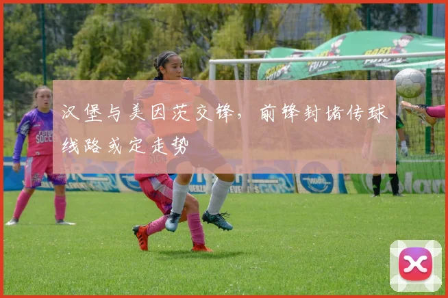 汉堡与美因茨交锋，前锋封堵传球线路或定走势