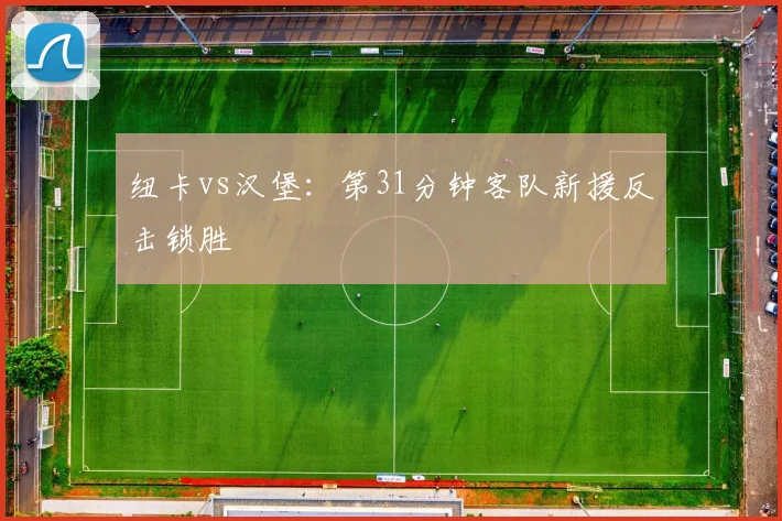 纽卡vs汉堡：第31分钟客队新援反击锁胜